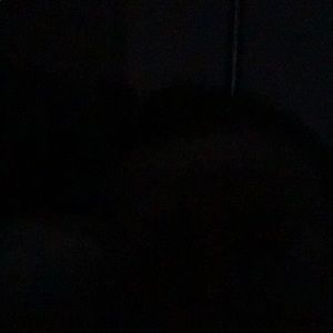 Meet your Posher, Dalton